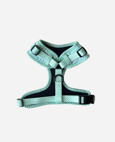 Green Ziggy Dog Harness